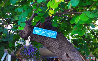 Heybeliada'da bir lezzet durağı Mavi Restaurant