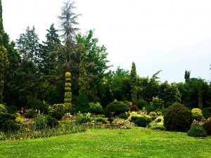 3IMG_5705