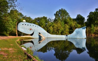 Gün 5 -Route 66'da baktığın her nokta farklı bir renk!...