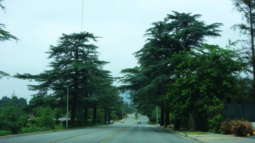 Route 66 Los Angeles Yolu