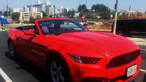 Mustang Araç Kiralama