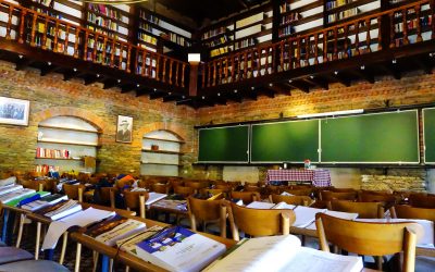 Nesin Matematik Köyü'nde Ağustos böcekleri eşliğinde eğitim!