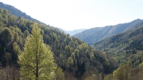 Vadilerden Zirvelere Artvin