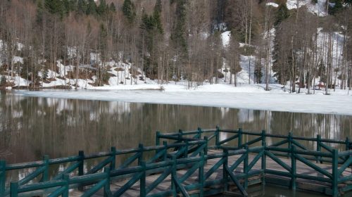 Vadilerden Zirvelere Artvin