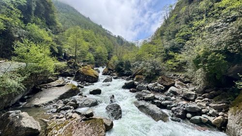 Vadilerden Zirvelere Artvin
