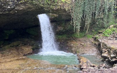 Vadilerden Zirvelere Artvin
