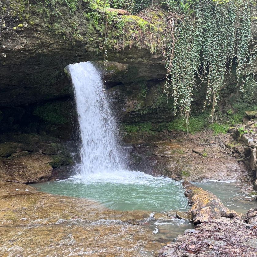Vadilerden Zirvelere Artvin