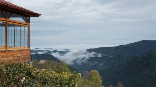 Çay Kokulu Rotalar: Rize