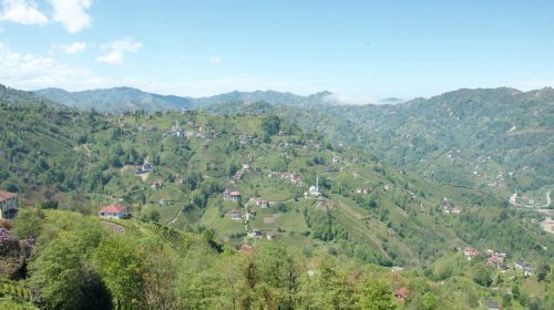 Çay Kokulu Rotalar: Rize