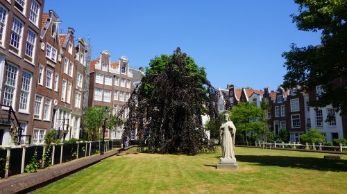 Amsterdam'da ücretsiz yapabileceğiniz keşifler...