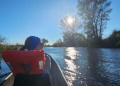 Okavango Delta’da Gerçek Afrika Deneyimi