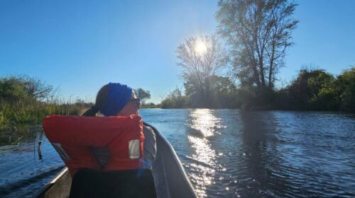 Okavango Delta'da Mokoro Deneyimi