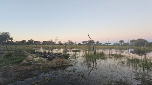 Okavango Delta'da Gün Doğumu
