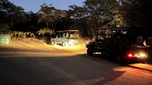 Chobe National Park Safari Araçları Botsvana