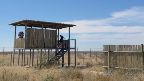Etosha National Park'taki piknik alanı