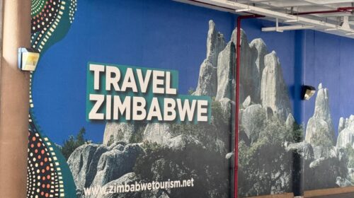 Zimbabwe Victoria Falls Havalimanı
