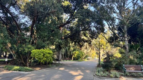 Cape Town Şehir Parkı