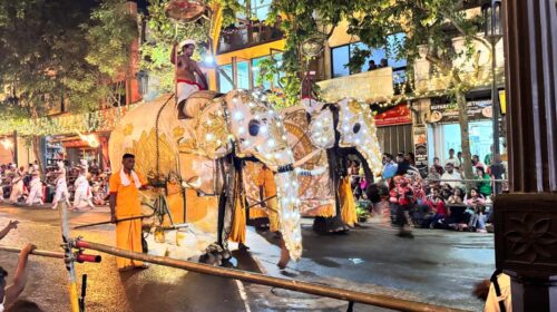 Kandy Esala Perahera festivalinde süslenmiş filler