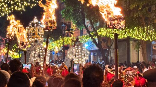 Esala Perahera'da kutsal emaneti temsil eden sandığı taşıyan fil
