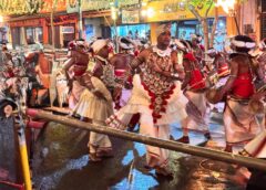 Kandy: Bir Gün, Bir Festival