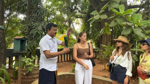 Sri Lanka'da baharat bahçesi