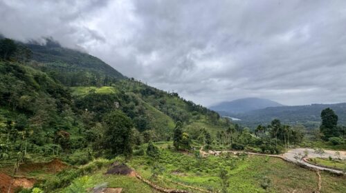 Nuwara Eliya'daki Kingwood Tea Factory