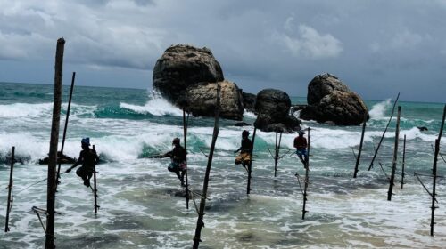 Sri Lanka Geleneksel Kazık Balıkçıları