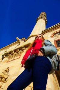 Selimiye Camii Edirne     